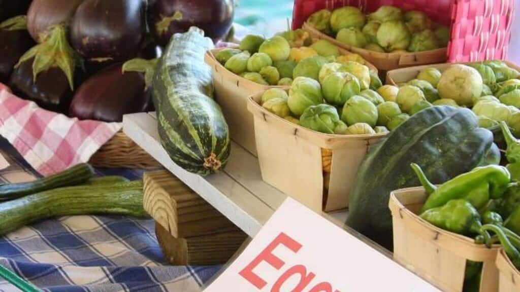 Fredericksburg Spring Summer Farmers Market