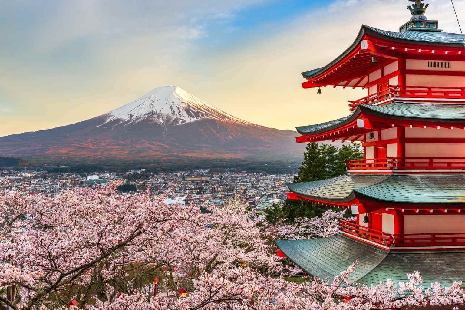 Things to Do in Tokyo on This Tour