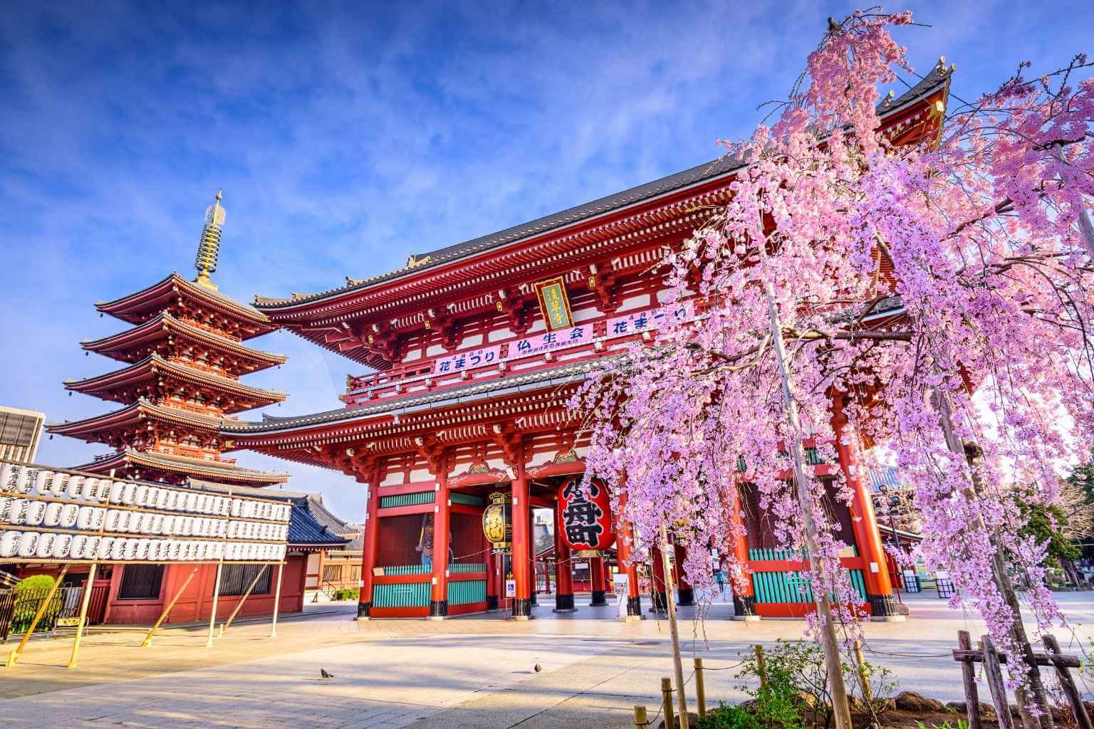 Tokyo and Osaka Tour Packages